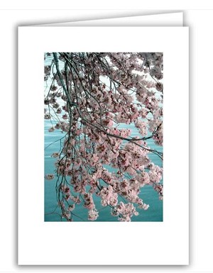 Riverbend "Cherry Blossom Branch" Glitter Card 